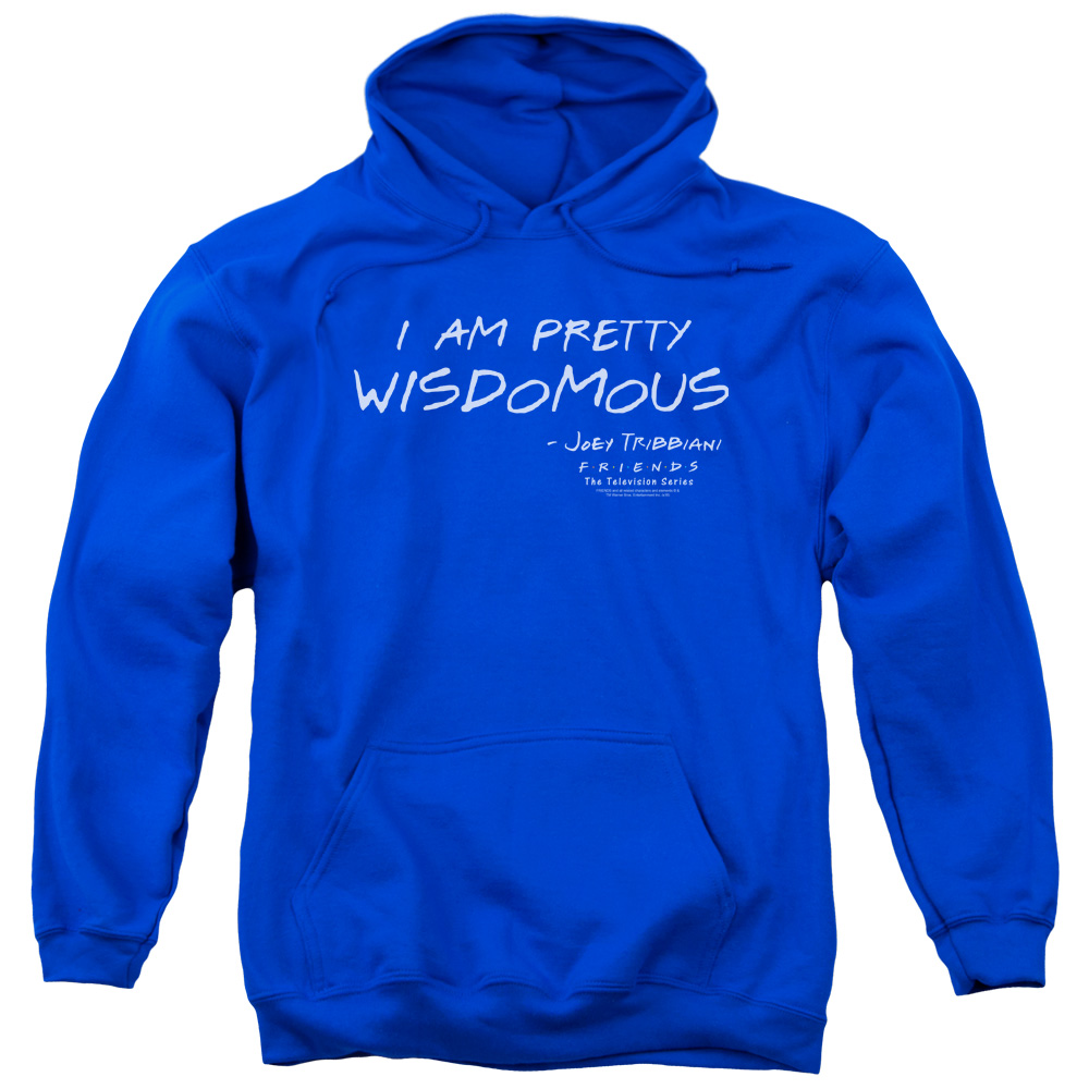 Friends & Wisdomous Adult Pull-Over Hoodie, Royal Blue - Medium