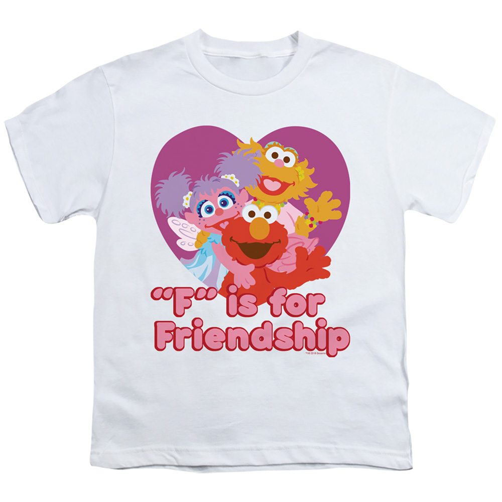 SST197-YT-2 Sesame Street & Friendship - Short Sleeve Youth 18-1 T-Shirt, White - Medium