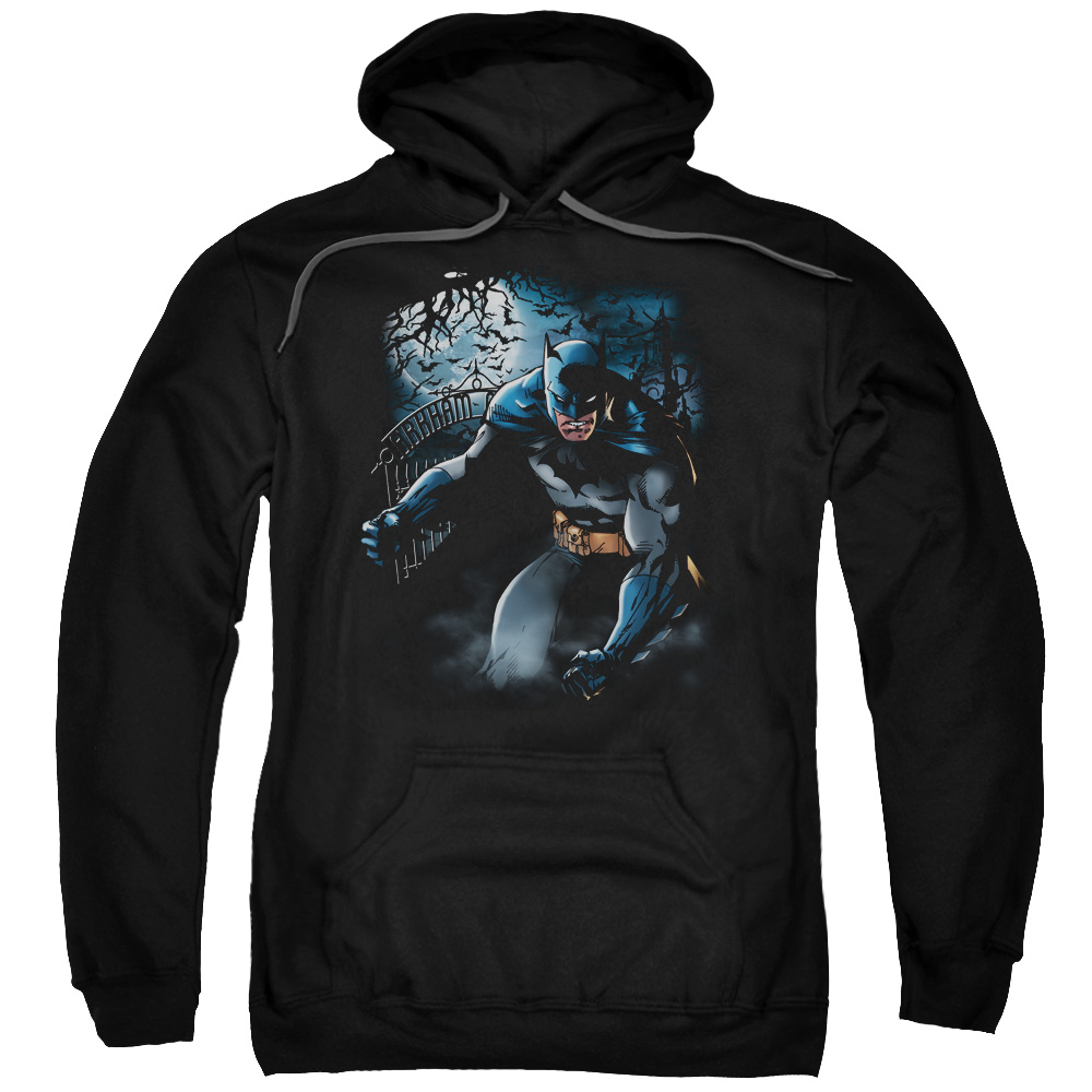 BM1886-AFTH-7 Batman & Light of the Moon Adult Pull-Over Hoodie, Black - 4X -  Trevco