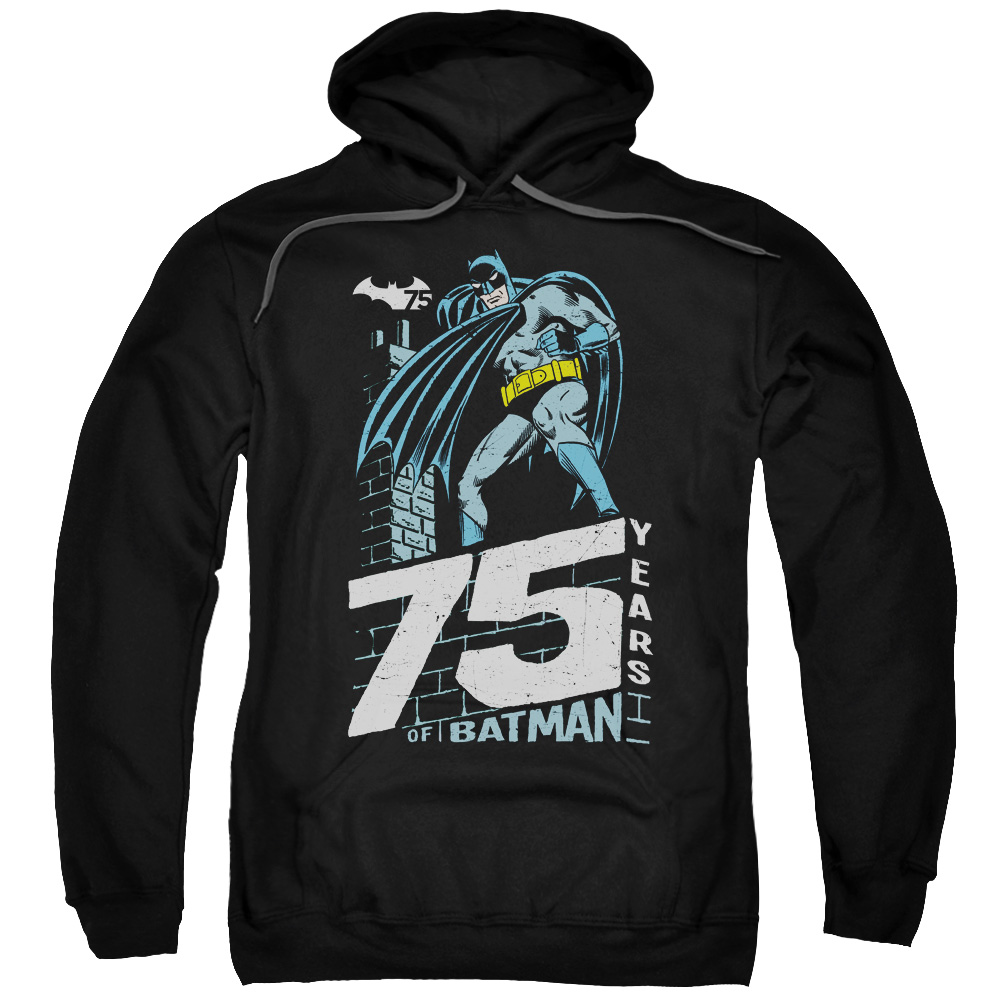 BM2444-AFTH-8 Batman & Rooftop Adult Pull-Over Hoodie, Black - 5X