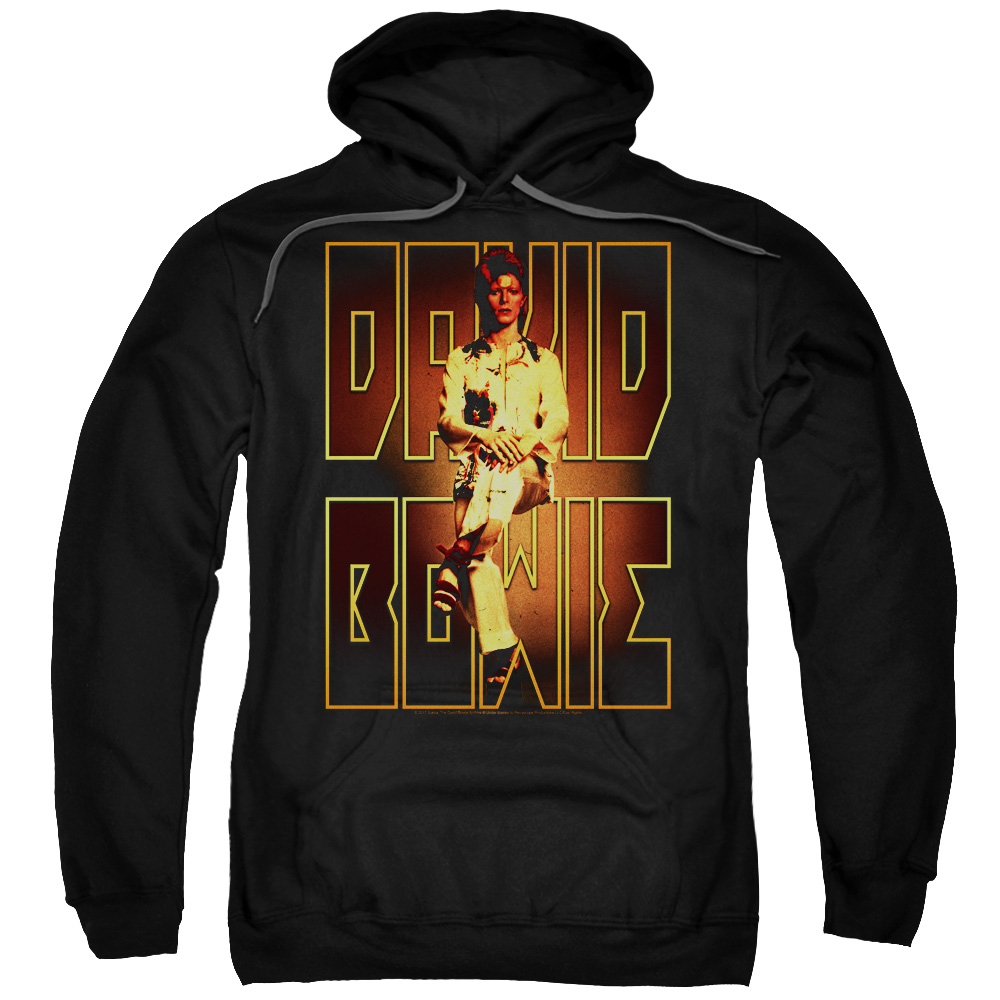 David Bowie & Perched Adult Pull-Over Hoodie, Black - 5X