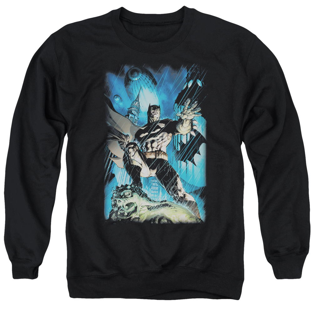 Batman & Stormy Dark Knight Long Sleeve Adult Crewneck Sweatshirt, Black - Medium