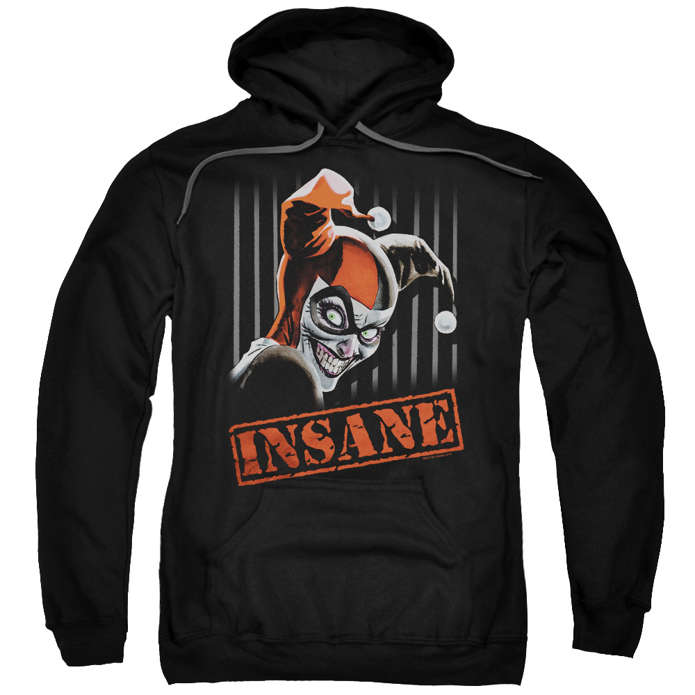 BM2839-AFTH-3 Batman & Insane Adult Pull-Over Hoodie, Black - Large