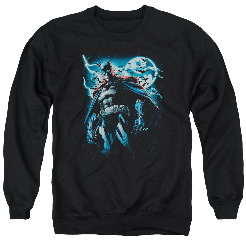 Batman & Stormy Knight Long Sleeve Adult Crewneck Sweatshirt, Black - Extra Large