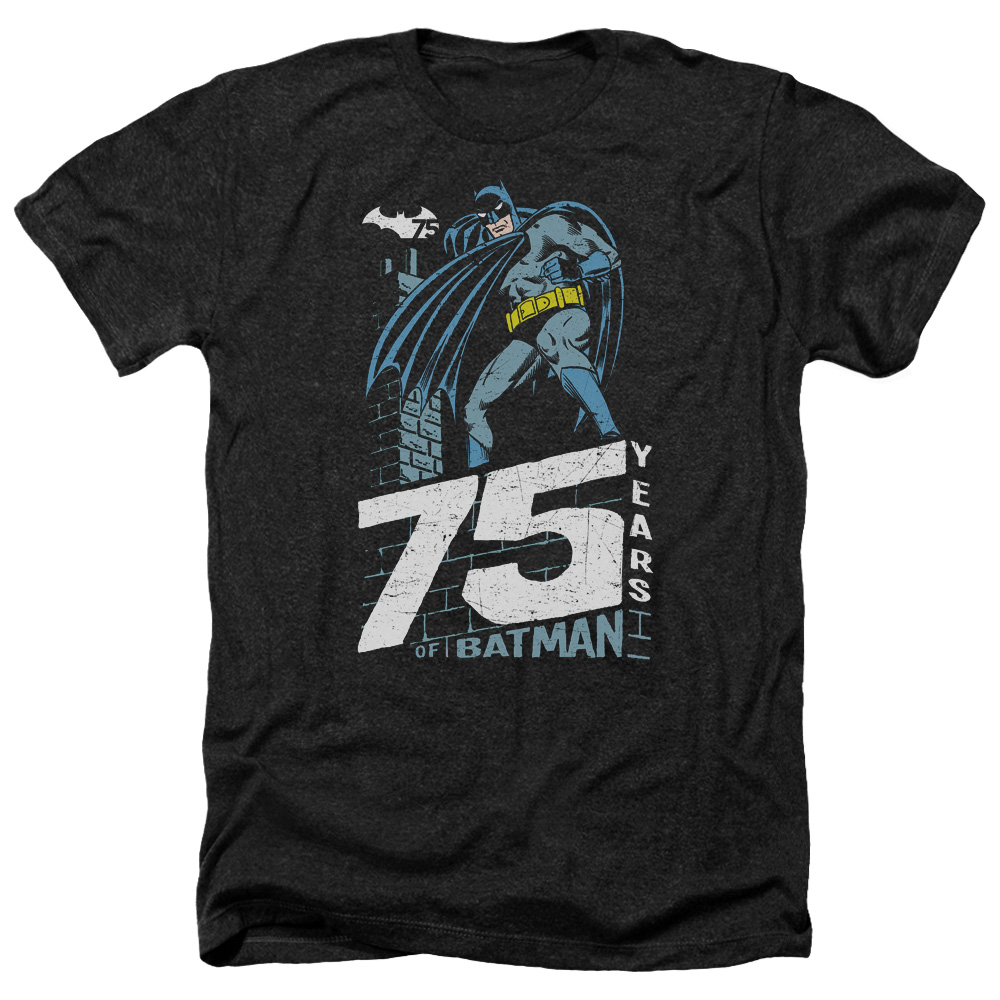 Batman & Rooftop-Adult Heather T-Shirt, Black - Small