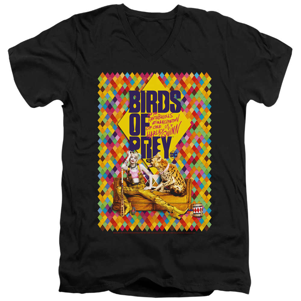 Birds of Prey & Couch-Short Sleeve Adult V-Neck 30-1 T-Shirt, Black - Large