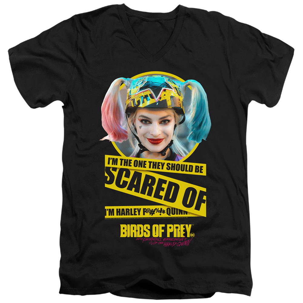 Birds of Prey & Scared of Short Sleeve Adult V-Neck 30-1 T-Shirt, Black - Extra Large