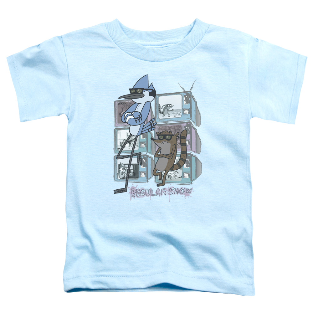 Regular Show & TV Too Cool Toddler Short Sleeve T-Shirt, Light Blue - Small - 2 Toddler
