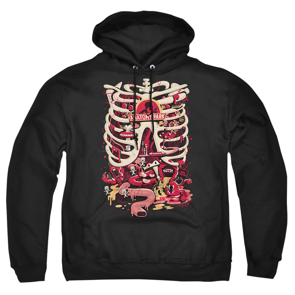 Rick & Morty Anatomy Park Logo-Adult Pull-Over Hoodie, Black - Medium