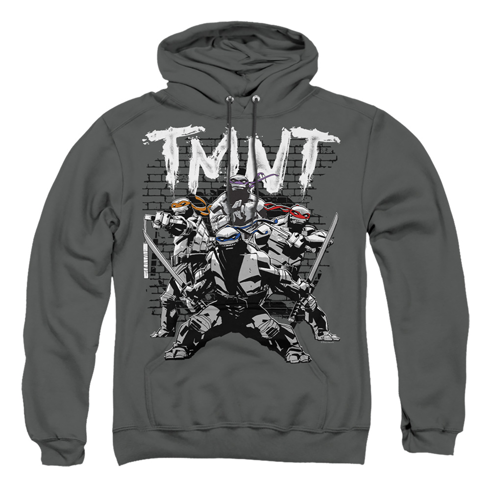 TMNT & TMNT Team-Adult Pull-Over Hoodie, Charcoal - Medium