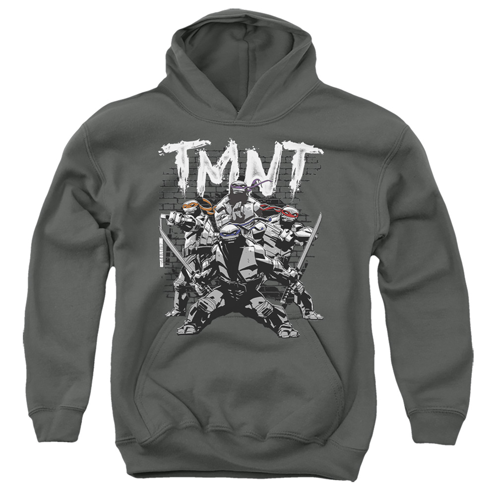 TMNT & TMNT Team-Youth Pull-Over Hoodie, Charcoal - Small