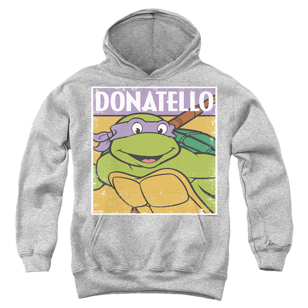TMNT & TMNT Donnie-Youth Pull-Over Hoodie, Athletic Heather - Large
