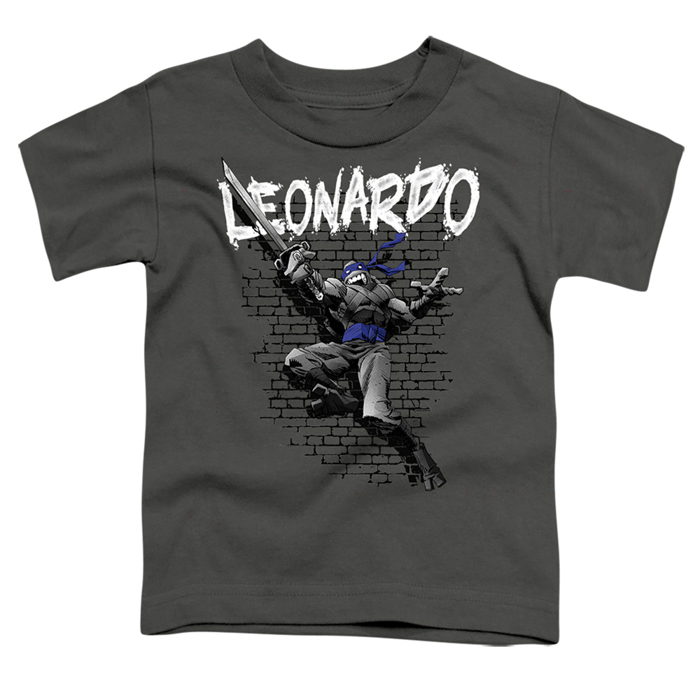 TMNT & TMNT Leonardo Short Sleeve Toddler T-Shirt, Charcoal - Medium 3T