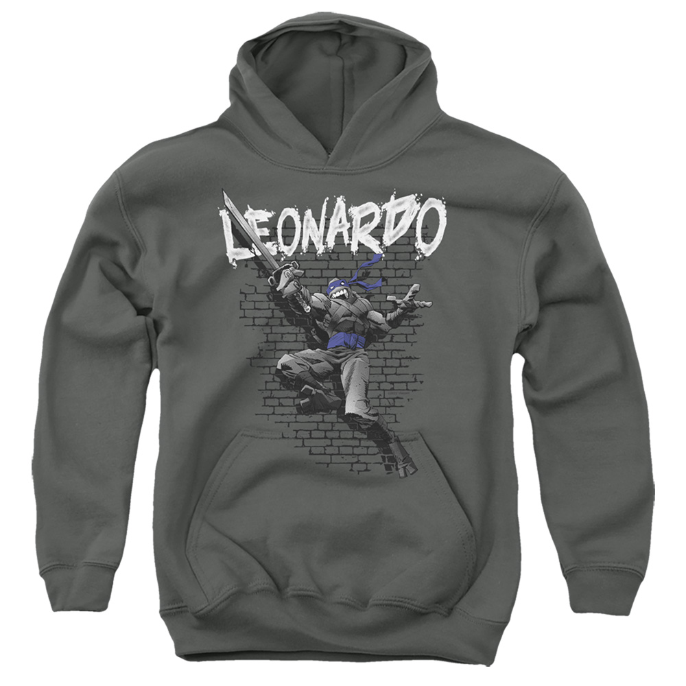 TMNT & TMNT Leonardo-Youth Pull-Over Hoodie, Charcoal - Medium