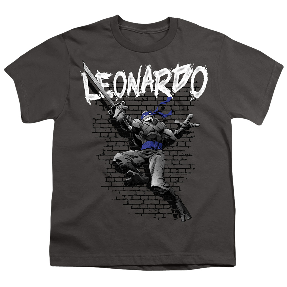 TMNT & TMNT Leonardo Short Sleeve Youth 18-1 T-Shirt, Charcoal - Medium