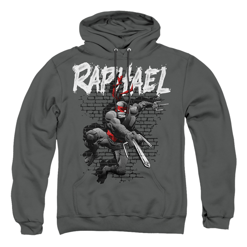 TMNT & TMNT Raphael-Adult Pull-Over Hoodie, Charcoal - Extra Large
