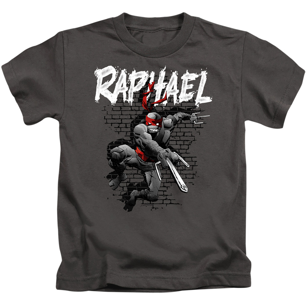 TMNT & TMNT Raphael Short Sleeve Juvenile 18-1 T-Shirt, Charcoal - Small 4