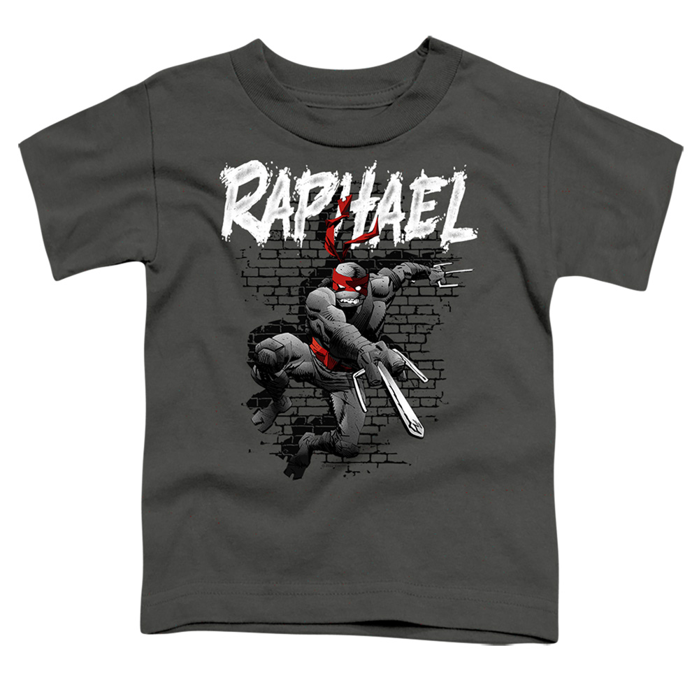 TMNT & TMNT Raphael Short Sleeve Toddler T-Shirt, Charcoal - Medium 3T