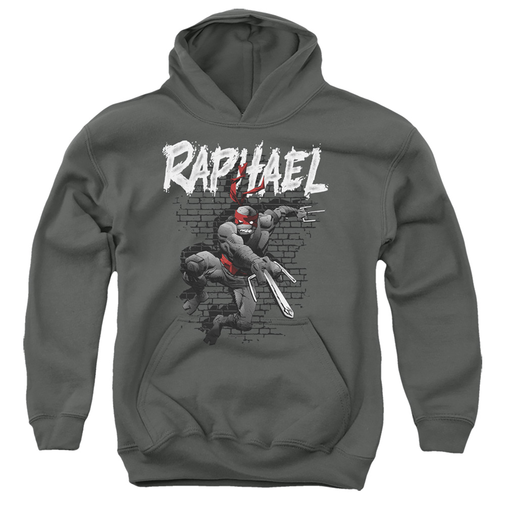 TMNT & TMNT Raphael-Youth Pull-Over Hoodie, Charcoal - Extra Large