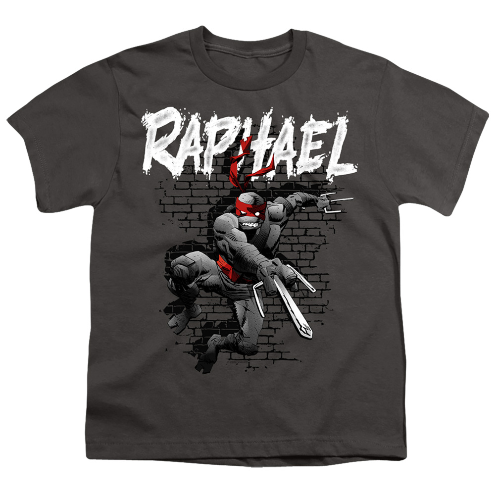 TMNT & TMNT Raphael Short Sleeve Youth 18-1 T-Shirt, Charcoal - Medium