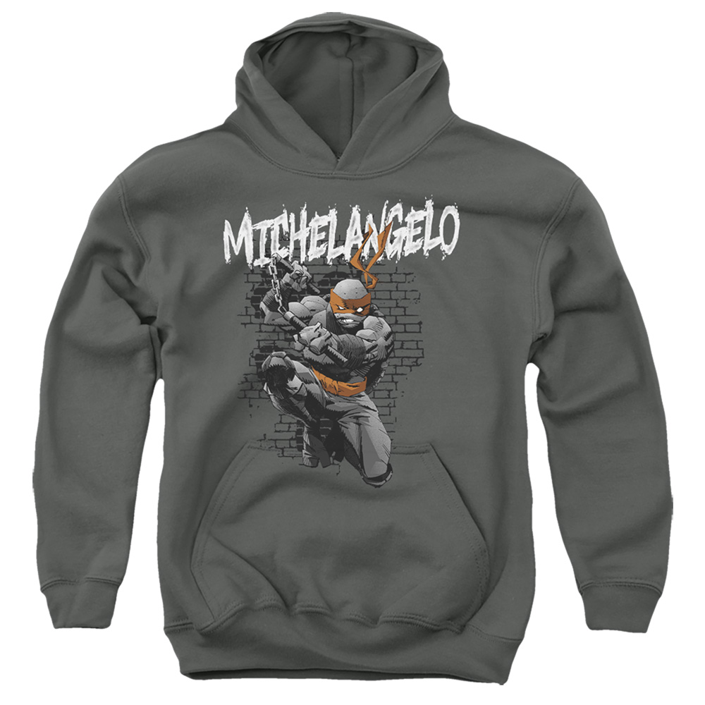 TMNT & TMNT Michelangelo-Youth Pull-Over Hoodie, Charcoal - Extra Large