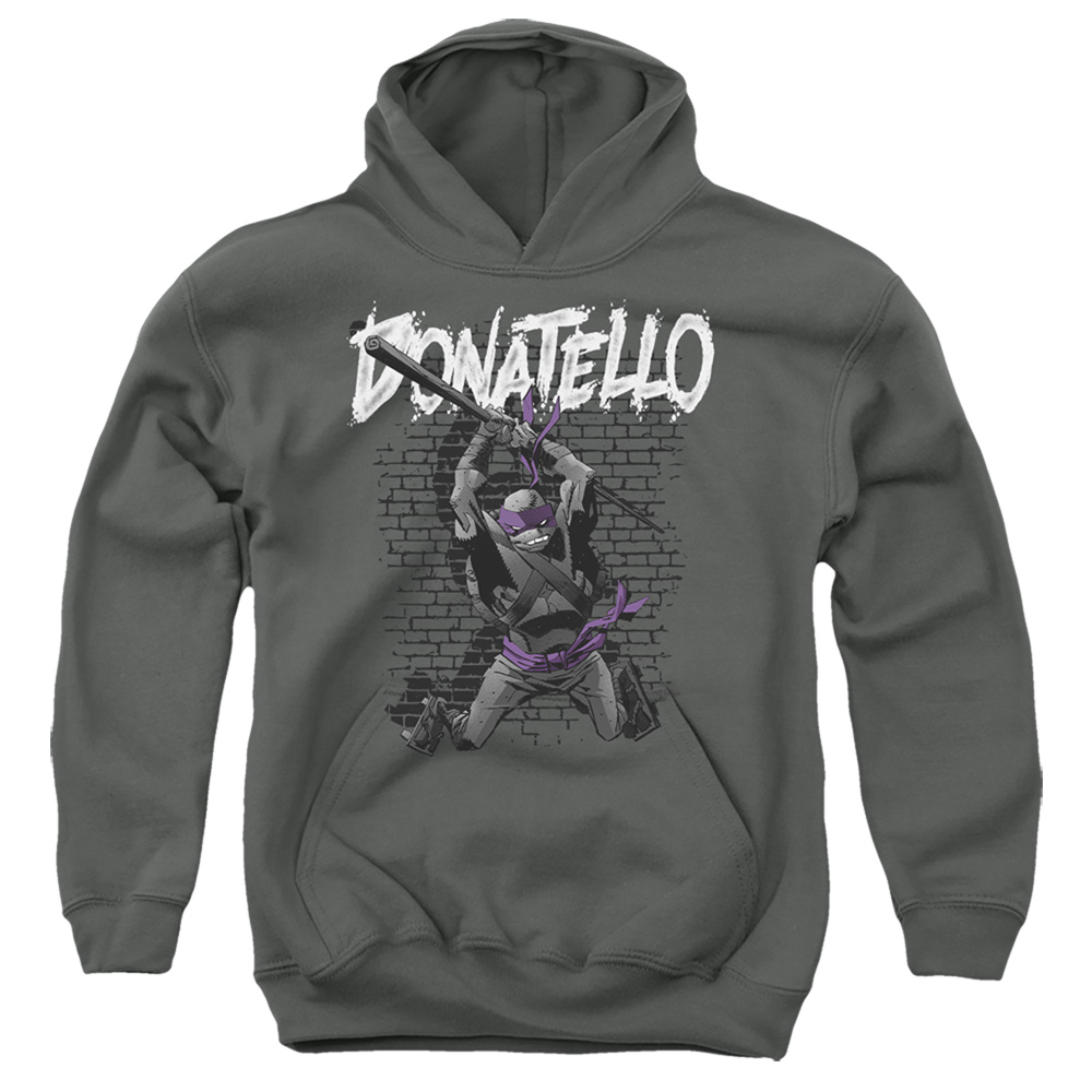 TMNT & TMNT Donatello-Youth Pull-Over Hoodie, Charcoal - Extra Large