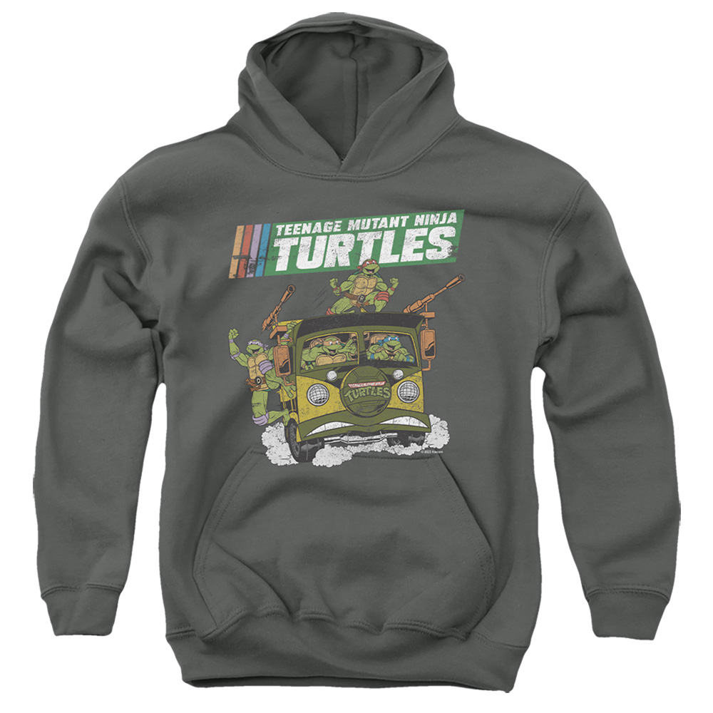TMNT & TMNT Van-Youth Pull-Over Hoodie, Charcoal - Large