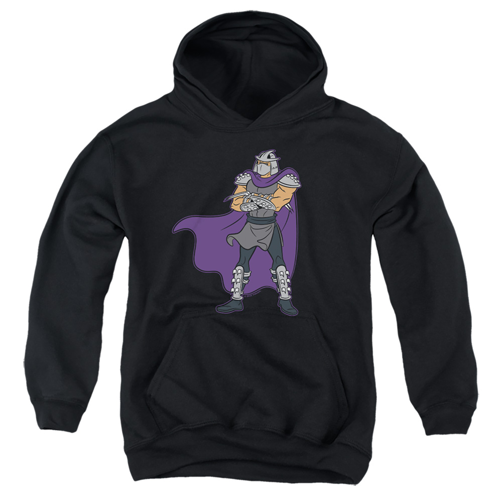 Teenage Mutant Ninja Turtles & Shredder-Youth Pull-Over Hoodie, Black - Medium