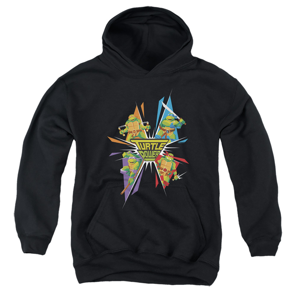 Teenage Mutant Ninja Turtles & Turtle Power-Youth Pull-Over Hoodie, Black - Medium