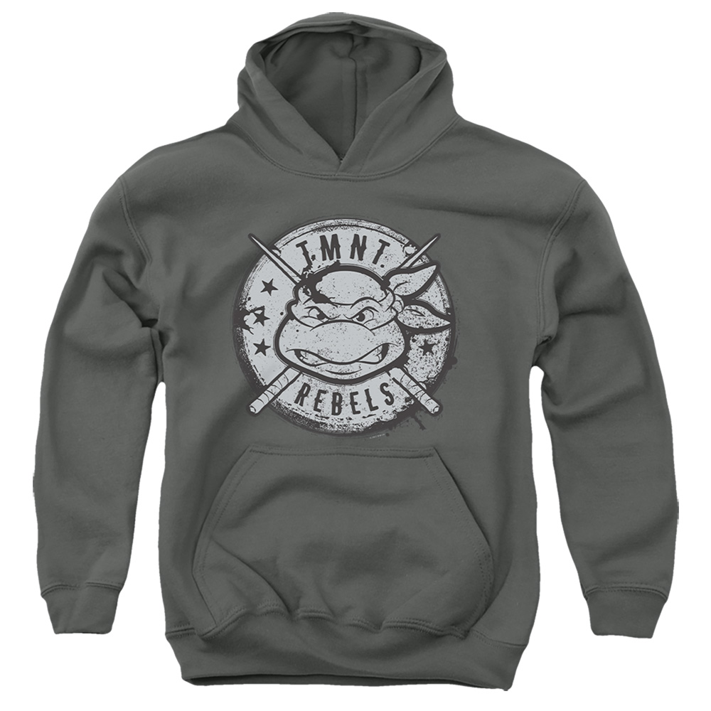 NICK325-YFTH-4 Teenage Mutant Ninja Turtles & Rebels Distressed Logo-Youth Pull-Over Hoodie, Charcoal - Extra Large