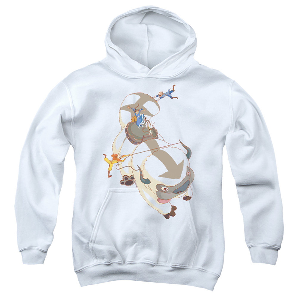 Avatar the Last Airbender & Hang On Appa-Youth Pull-Over Hoodie, White - Medium
