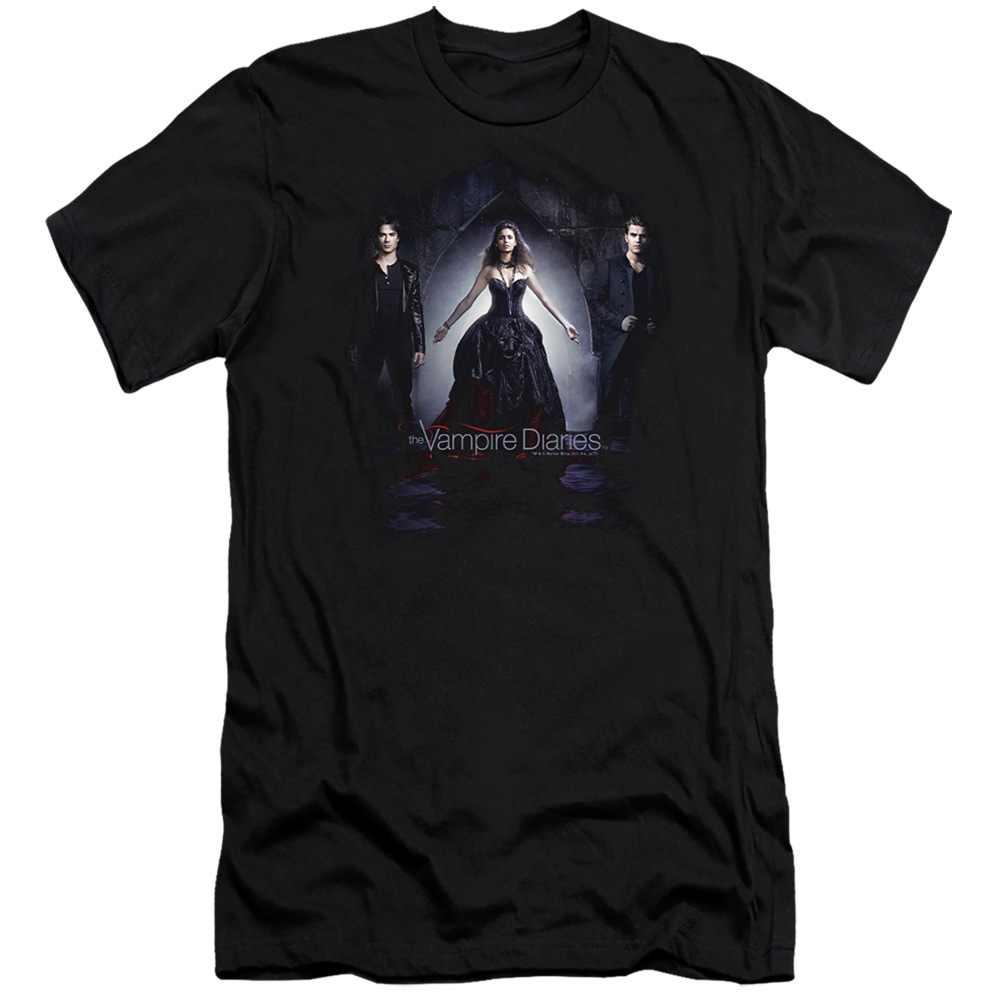 Vampire Diaries & Bring It On-Premuim Canvas Adult Slim Fit 30-1 T-Shirt, Black - Small