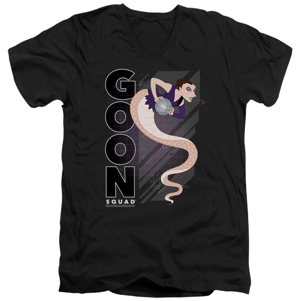 Space Jam 2 & White Mamba Short Sleeve Adult V-Neck 30-1 T-Shirt, Black - Extra Large