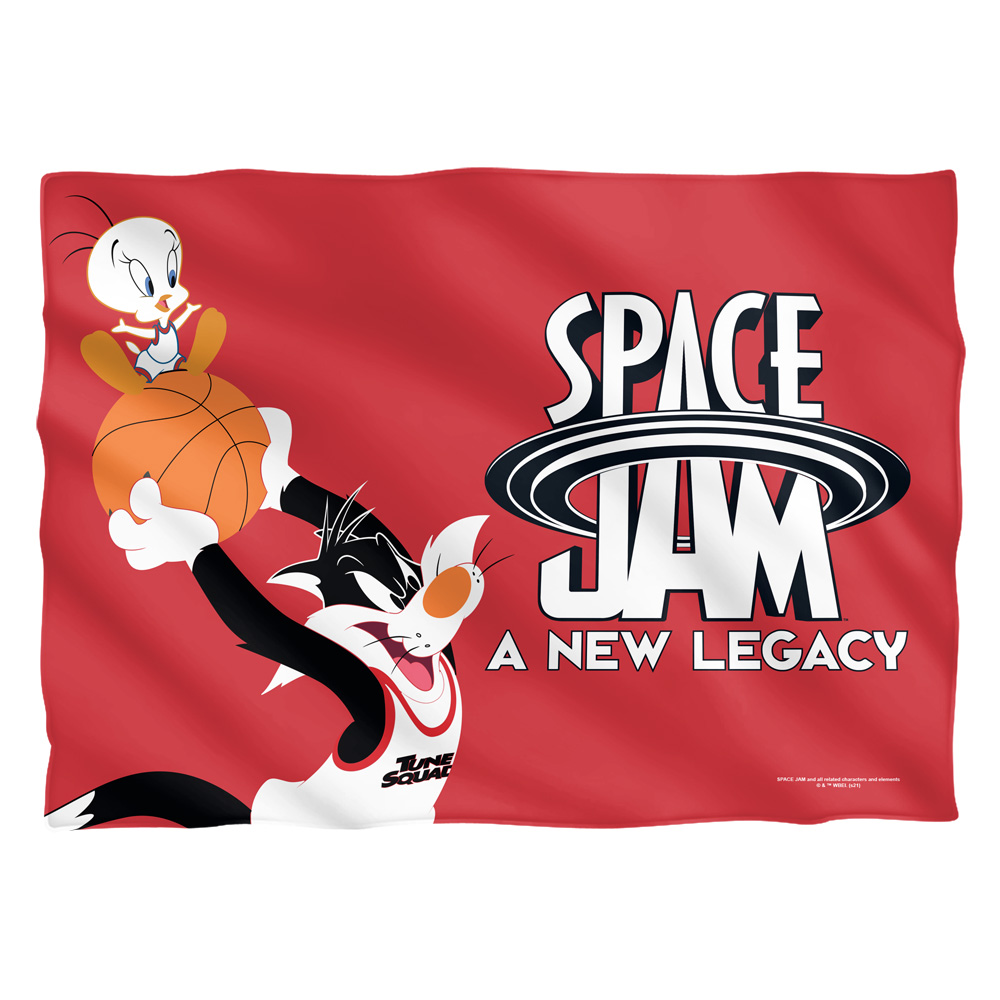 WBM1633FB-PLO1-20x28 20 x 28 in. Space Jam 2 & Sylvestor & Tweety Mono Color Front & Back-Pillow Case, White
