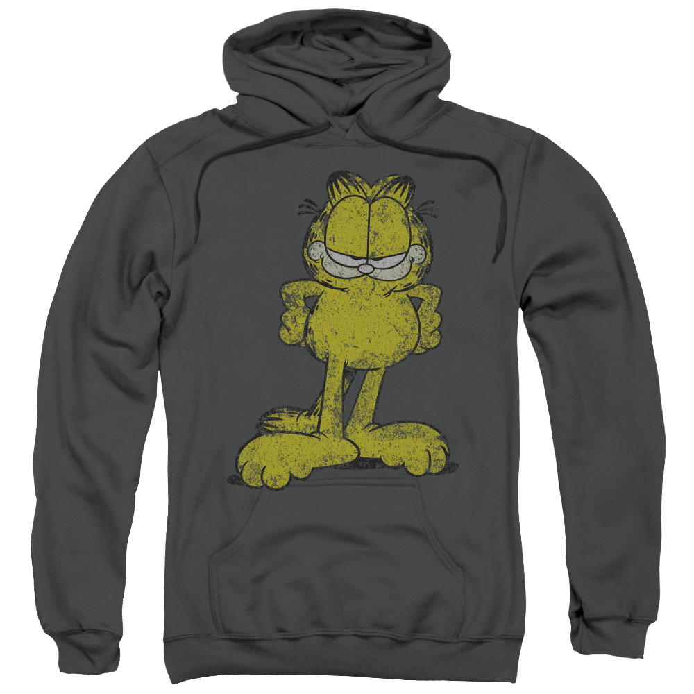 Garfield Big Ol Cat Adult Pull Over Hoodie, Charcoal - Large