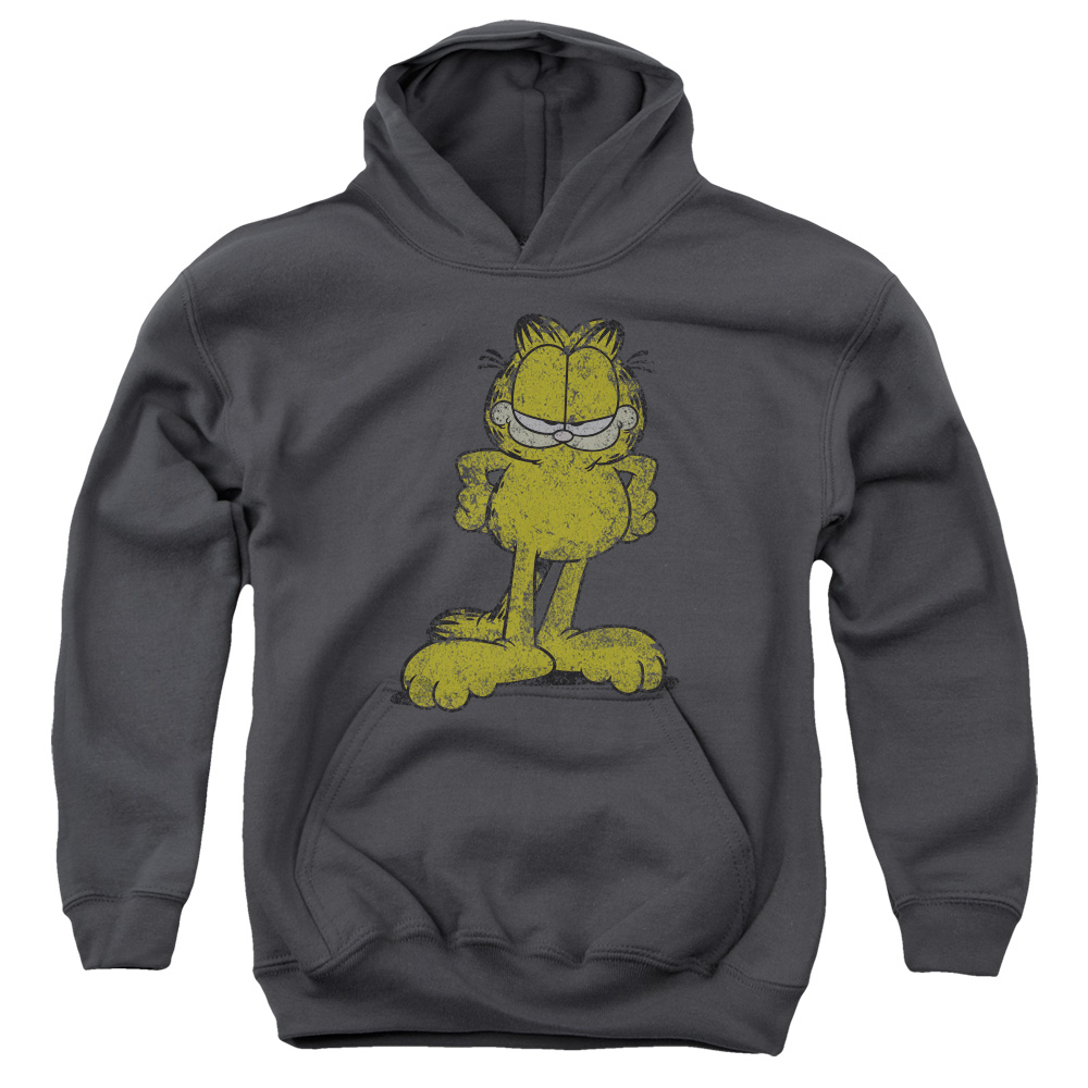 Garfield Big Ol Cat Youth Pull Over Hoodie, Charcoal - Extra Large