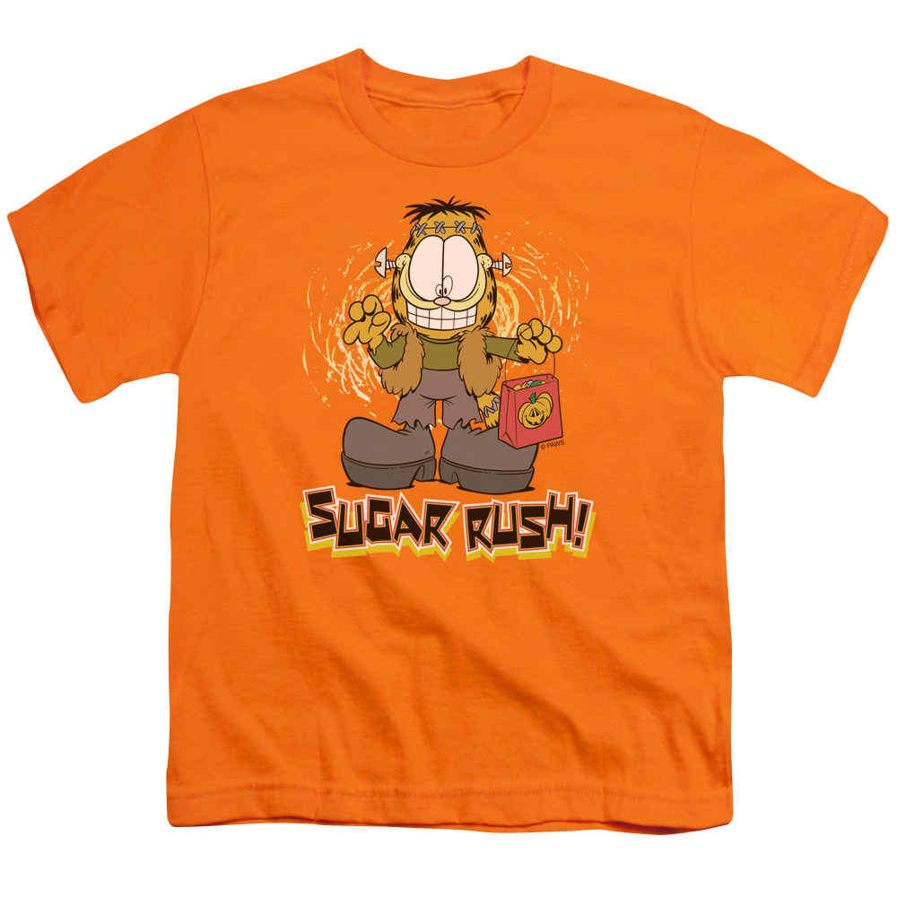 Garfield Sugar Rush Short Sleeve Youth 18-1 T-Shirt, Orange - Medium
