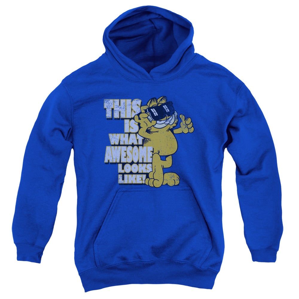 Garfield & Awesome-Youth Pull-Over Hoodie, Royal Blue - Small