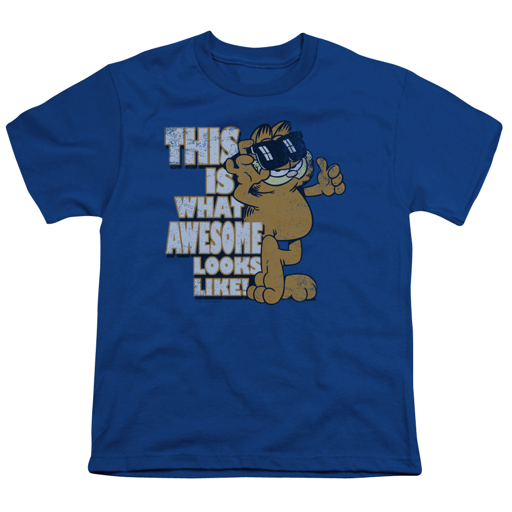 Garfield & Awesome-Short Sleeve Youth 18-1 T-Shirt, Royal Blue - Small