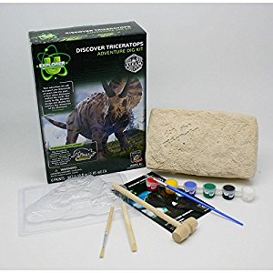 90101 Triceratops Discover Dig Kit
