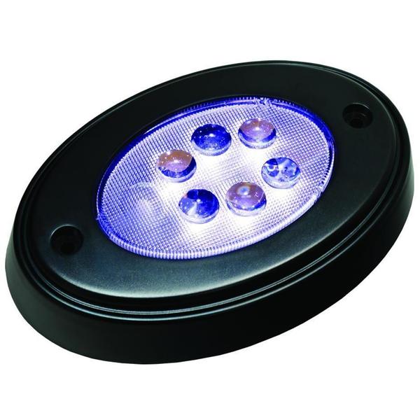 6 LED Oval Courtesy Light - Black - 12V - Built-in Switch