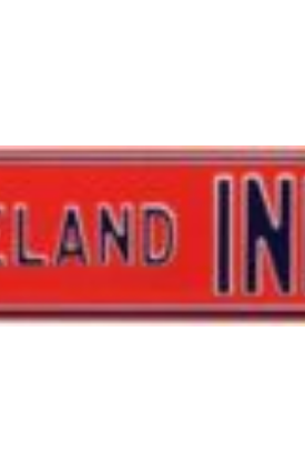 Picture of Authentic Street Signs 30109 Cleveland Indians Avenue Street Sign