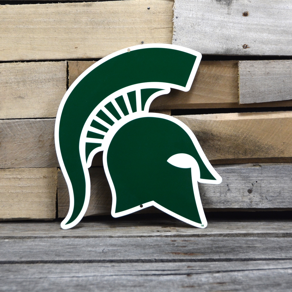 Picture of Authentic Street Signs 90001 12 in. Michigan State Sparty Steel Logo
