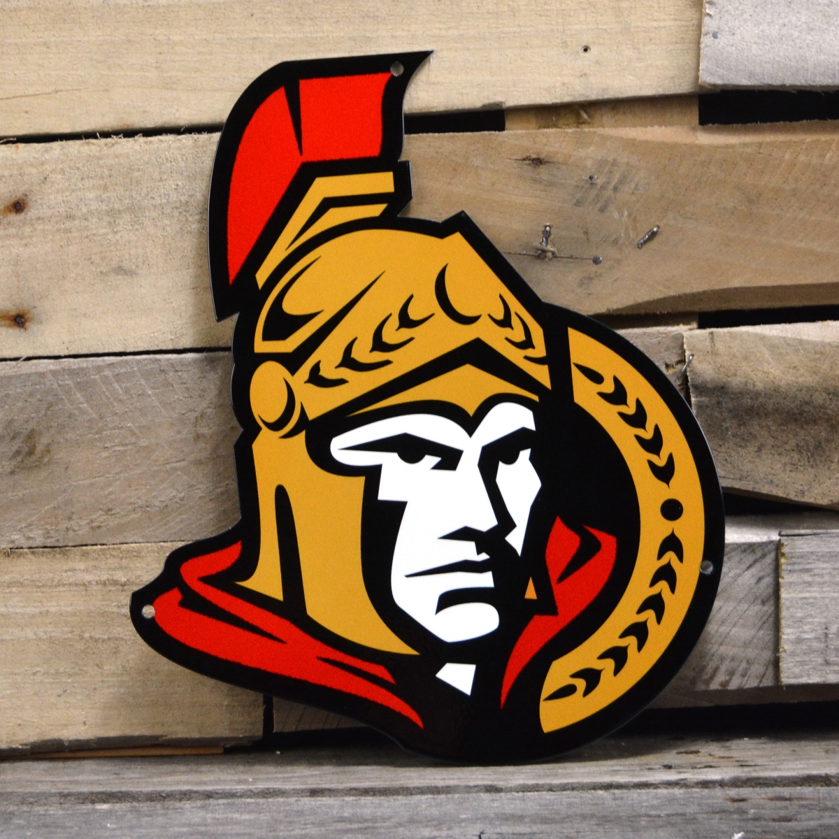 Picture of Authentic Street Signs 90219 12 in. Ottawa Senators Steel Logo