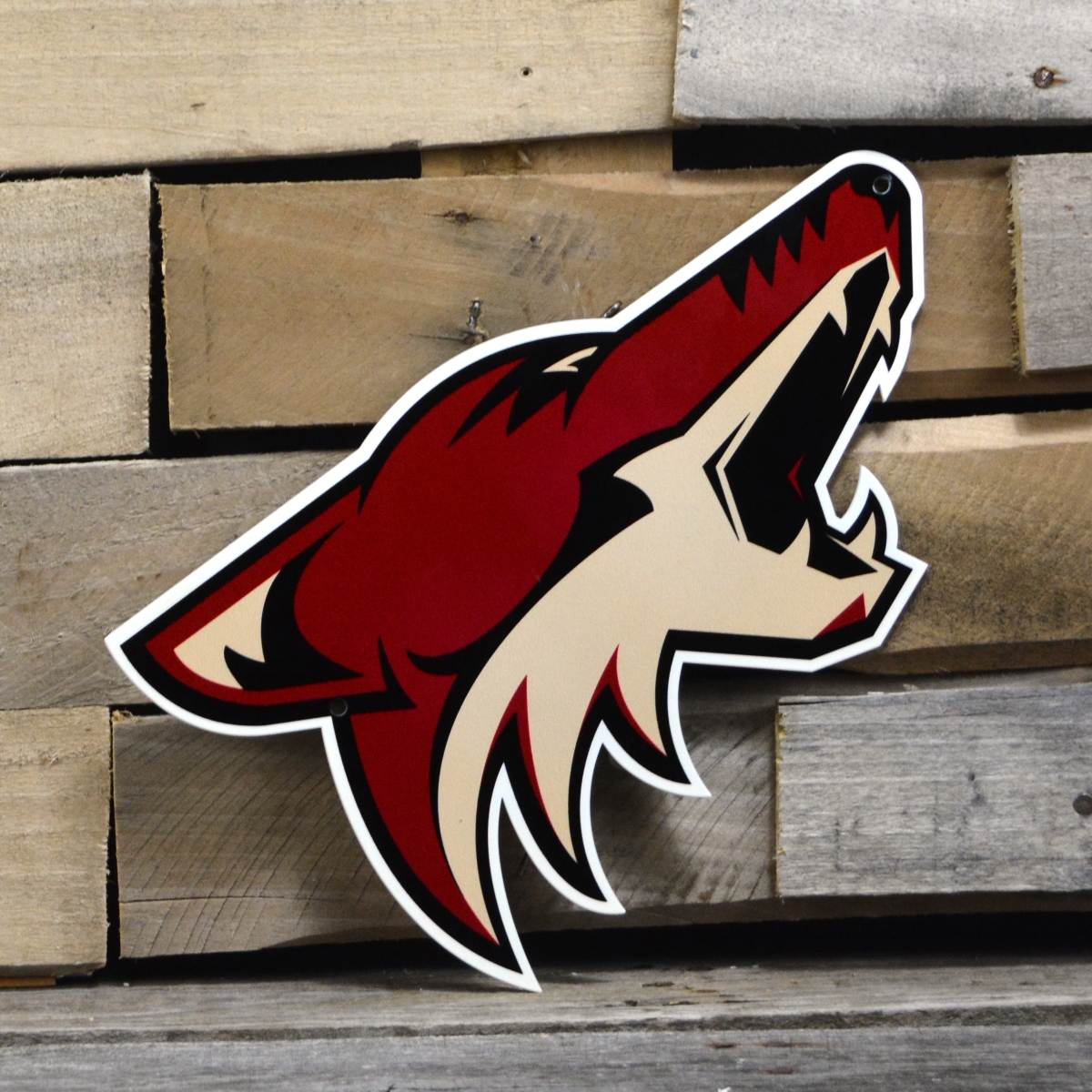 Picture of Authentic Street Signs 90221 12 in. Phoenix Coyotes Steel Logo