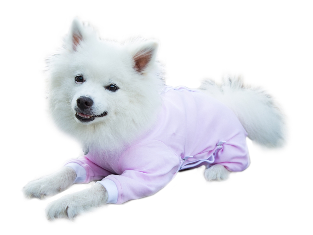 Picture of Cover Me by Tui Med Adj Fit Cover Me SS Pink Adjustable Fit Step-into with Short Sleeve for Pets&#44; Pink - Medium