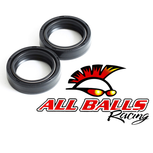55-107 Fork Seal Kit
