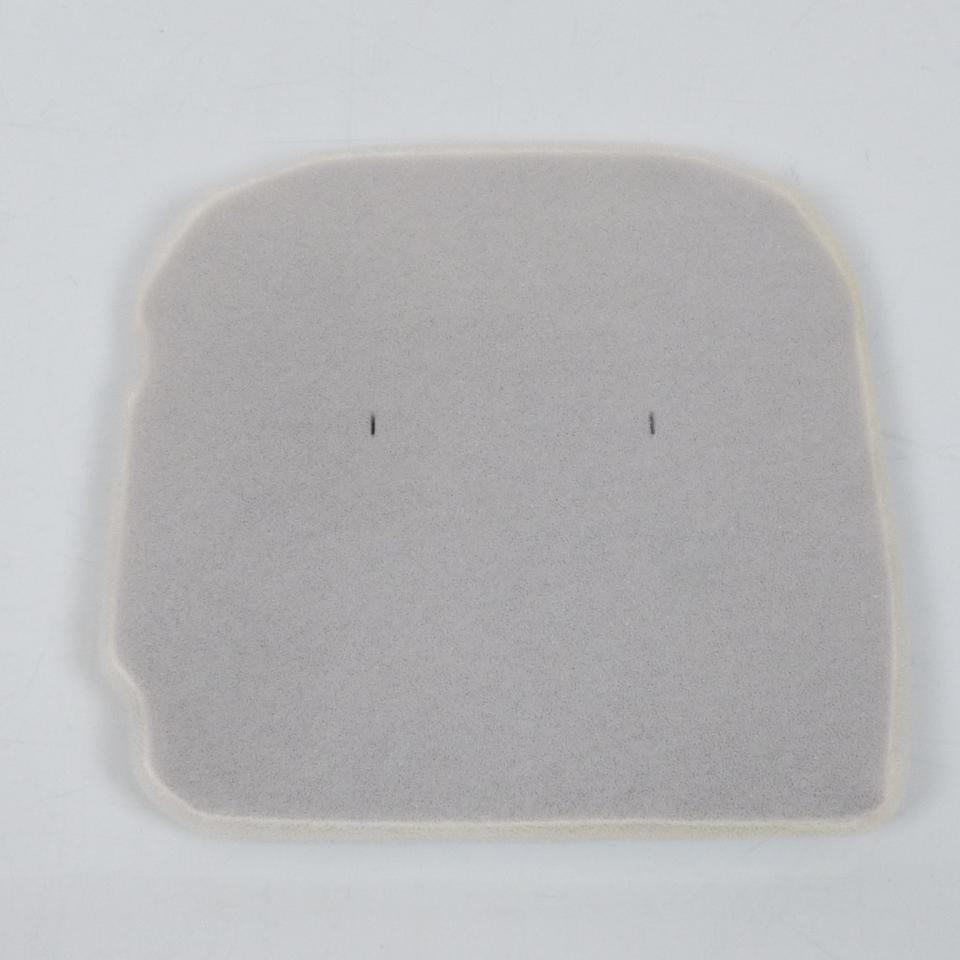 Athena (S410220200010) Air Filter