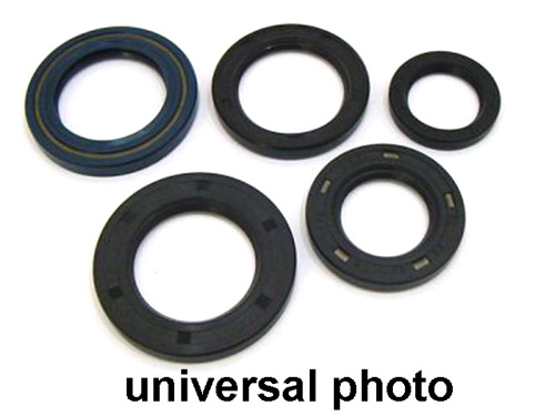 Picture of Winderosa 822140 Complete Dirtbike Oil Seal Set for 1994 Polaris 400L&#44; Black