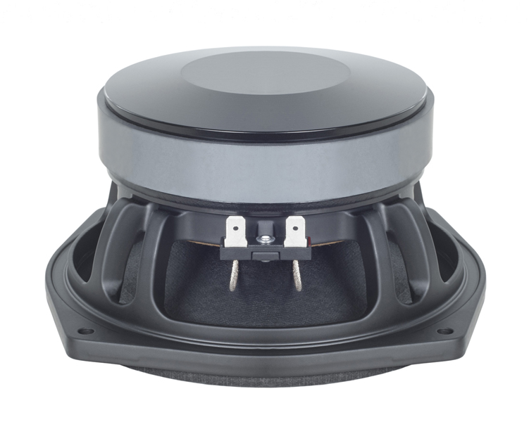 Picture of B&C 6PS38-8 6.5 in. 8 Ohm Speaker Woofer with 300W Continuous Program Power